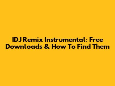 IDJ Remix Instrumental: Free Downloads & How To Find Them