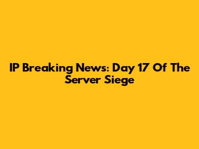 IP Breaking News: Day 17 Of The Server Siege