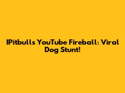 IPitbull's YouTube Fireball: Viral Dog Stunt!