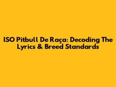ISO Pitbull De Raça: Decoding The Lyrics & Breed Standards