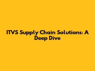 ITVS Supply Chain Solutions: A Deep Dive