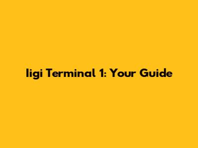 Iigi Terminal 1: Your Guide