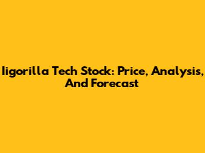 Iigorilla Tech Stock: Price, Analysis, And Forecast