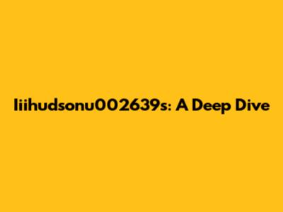 Iiihudsonu002639s: A Deep Dive