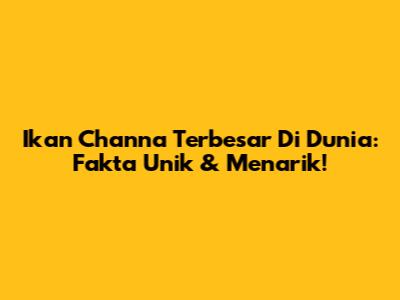Ikan Channa Terbesar Di Dunia: Fakta Unik & Menarik!