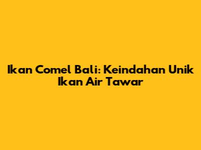 Ikan Comel Bali: Keindahan Unik Ikan Air Tawar