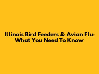 Illinois Bird Feeders & Avian Flu: What You Need To Know