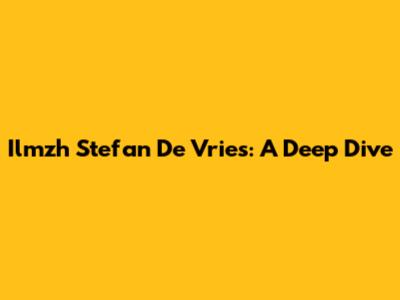 Ilmzh Stefan De Vries: A Deep Dive