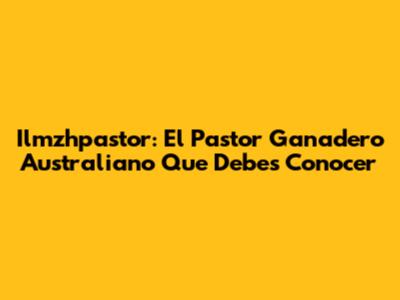 Ilmzhpastor: El Pastor Ganadero Australiano Que Debes Conocer