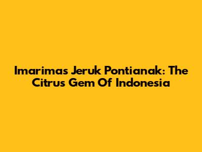 Imarimas Jeruk Pontianak: The Citrus Gem Of Indonesia