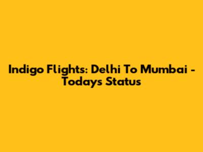 Indigo Flights: Delhi To Mumbai - Today's Status