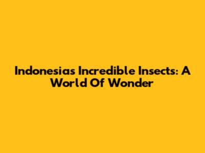 Indonesia's Incredible Insects: A World Of Wonder