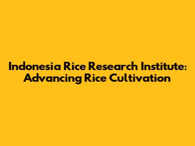 Indonesia Rice Research Institute: Advancing Rice Cultivation