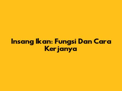 Insang Ikan: Fungsi Dan Cara Kerjanya