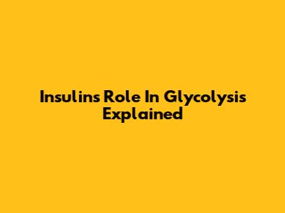 Insulin's Role In Glycolysis Explained