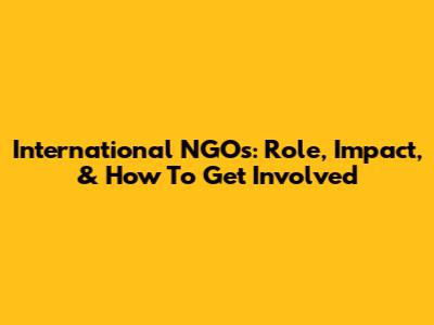 International NGOs: Role, Impact, & How To Get Involved