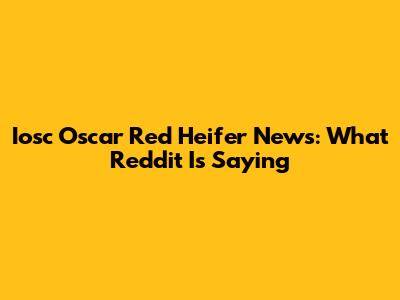 Iosc Oscar Red Heifer News: What Reddit Is Saying