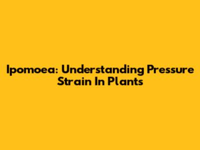 Ipomoea: Understanding Pressure Strain In Plants