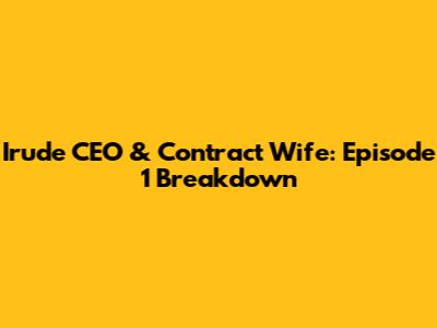 Irude CEO & Contract Wife: Episode 1 Breakdown