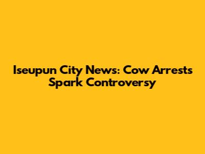 Iseupun City News: Cow Arrests Spark Controversy