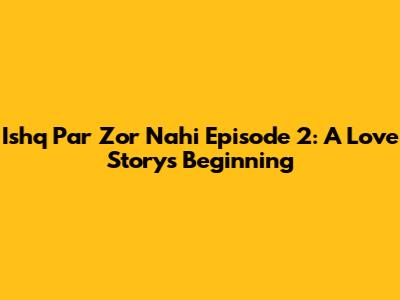 Ishq Par Zor Nahi Episode 2: A Love Story's Beginning