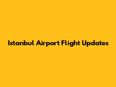 Istanbul Airport Flight Updates