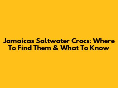 Jamaica's Saltwater Crocs: Where To Find Them & What To Know