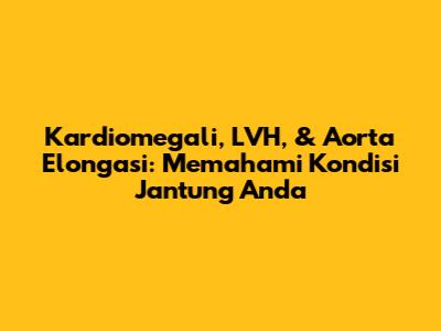 Kardiomegali, LVH, & Aorta Elongasi: Memahami Kondisi Jantung Anda