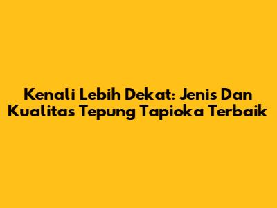 Kenali Lebih Dekat: Jenis Dan Kualitas Tepung Tapioka Terbaik