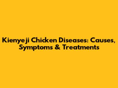 Kienyeji Chicken Diseases: Causes, Symptoms & Treatments