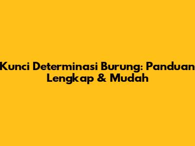Kunci Determinasi Burung: Panduan Lengkap & Mudah