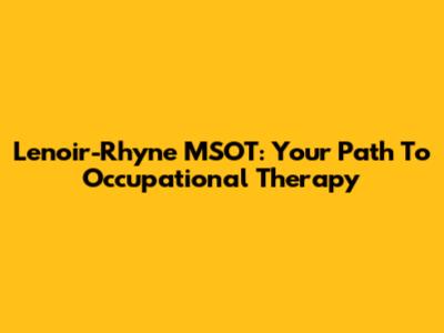 Lenoir-Rhyne MSOT: Your Path To Occupational Therapy