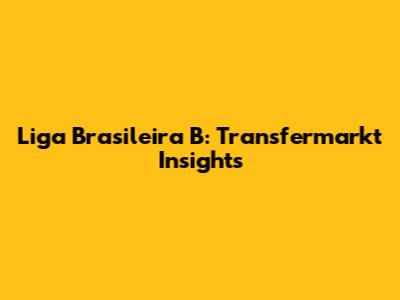 Liga Brasileira B: Transfermarkt Insights