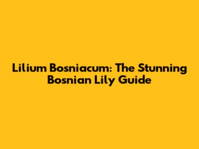 Lilium Bosniacum: The Stunning Bosnian Lily Guide