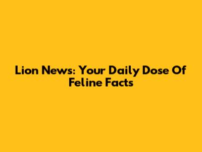 Lion News: Your Daily Dose Of Feline Facts