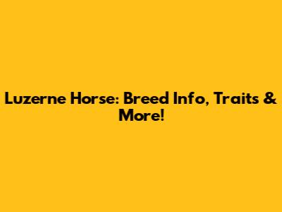 Luzerne Horse: Breed Info, Traits & More!
