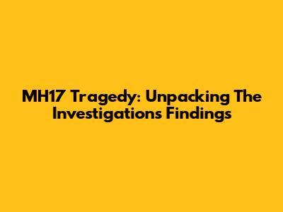 MH17 Tragedy: Unpacking The Investigation's Findings