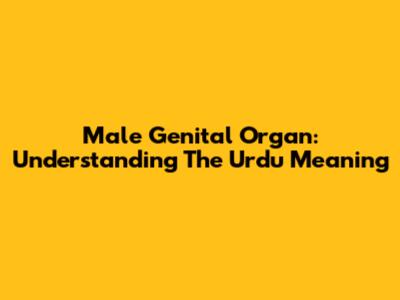 Male Genital Organ: Understanding The Urdu Meaning