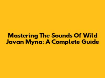 Mastering The Sounds Of Wild Javan Myna: A Complete Guide