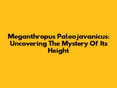 Meganthropus Paleojavanicus: Uncovering The Mystery Of Its Height