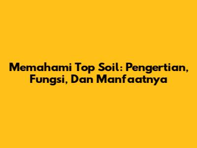 Memahami Top Soil: Pengertian, Fungsi, Dan Manfaatnya