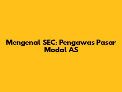 Mengenal SEC: Pengawas Pasar Modal AS