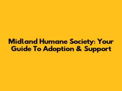 Midland Humane Society: Your Guide To Adoption & Support