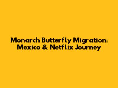 Monarch Butterfly Migration: Mexico & Netflix Journey