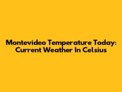Montevideo Temperature Today: Current Weather In Celsius