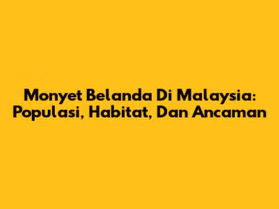 Monyet Belanda Di Malaysia: Populasi, Habitat, Dan Ancaman