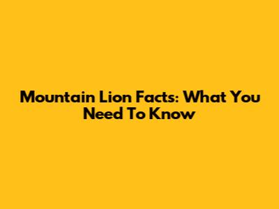 Mountain Lion Facts: What You Need To Know