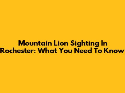Mountain Lion Sighting In Rochester: What You Need To Know