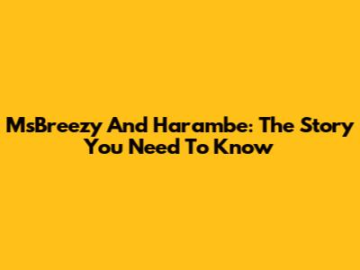 MsBreezy And Harambe: The Story You Need To Know