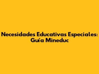 Necesidades Educativas Especiales: Guía Mineduc